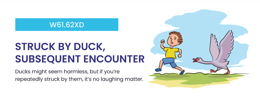 W61.62XD: Struck by duck, subsequent encounter funny icd 10 codes