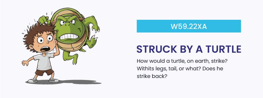 Struck-by-a-turtle funny icd 10 code